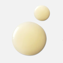 Load image into Gallery viewer, Antioxidant Peptide Serum